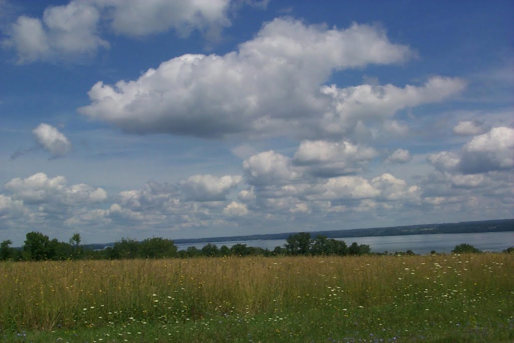 West side of Cayuga, Виллард
