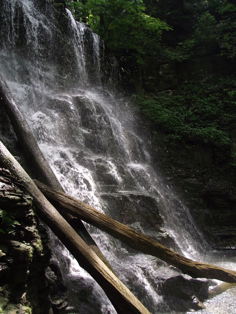 Waterfall over Geneseo Shale, Виллард