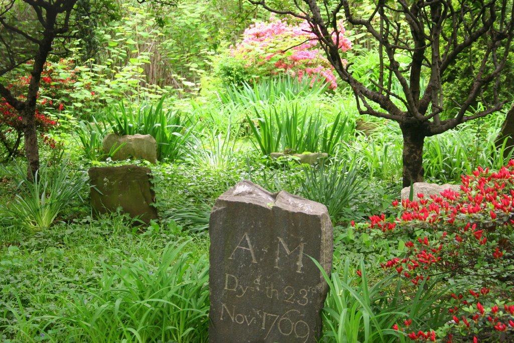 Moore Jackson Cemetery, Вудсайд