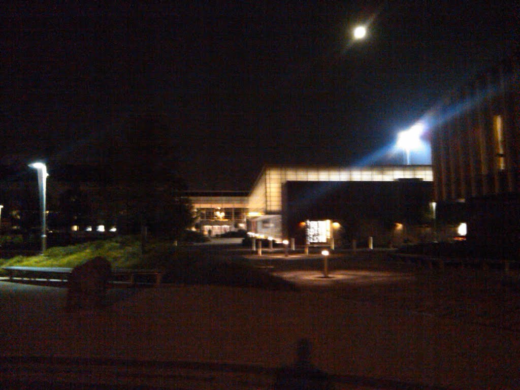Adelphi University at night, new building., Гарден-Сити
