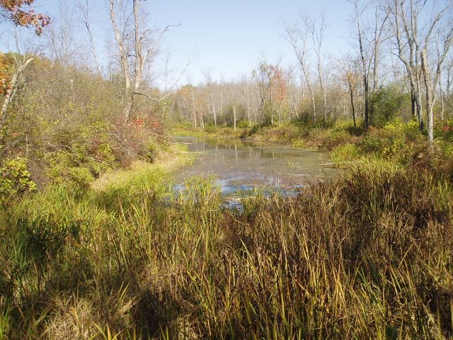 Remnant of the Champlain Canal, Гейтс