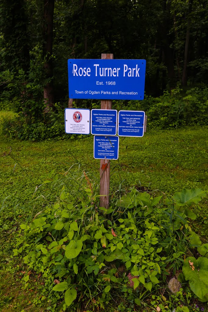 Rose Turner Park - park sign, Грис