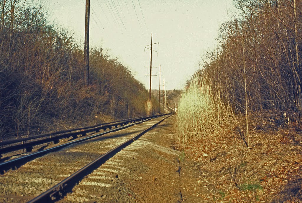 Eastbound LIRR Tracks, Great Neck, NY, Грэйт-Нек-Эстейтс