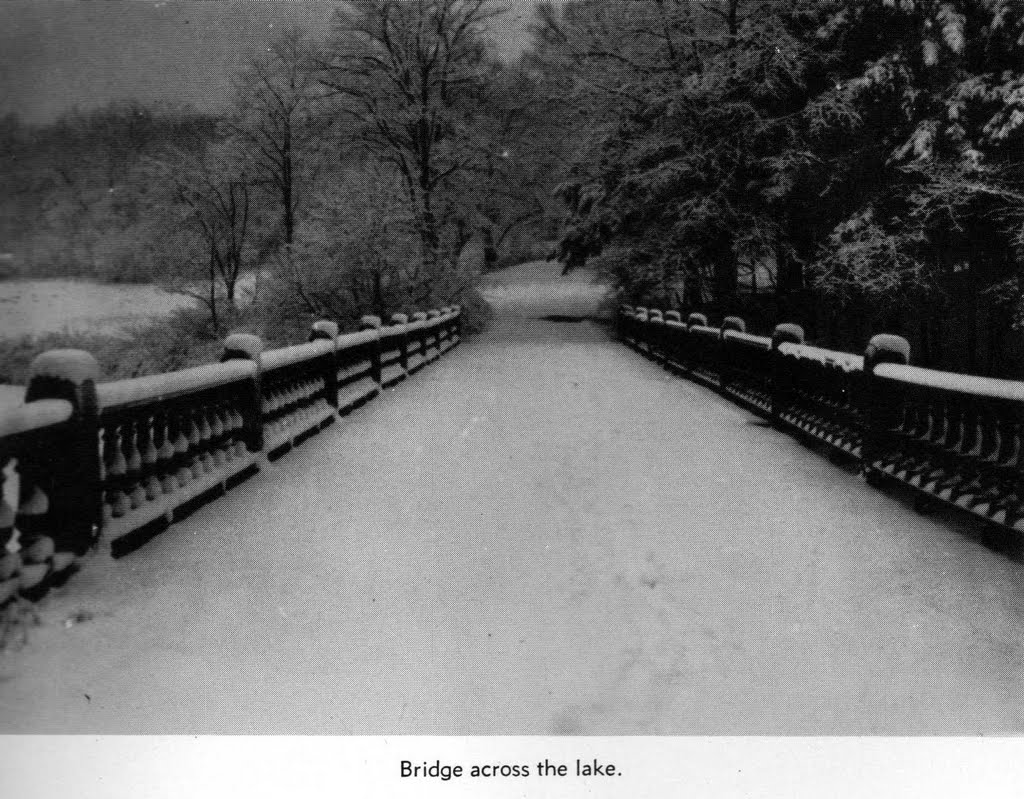 Bridge over the lake, ДеВитт