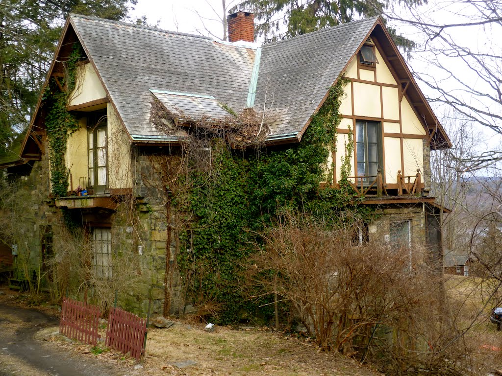 John Burroughs house, "Riverby," 1873; Tudor Cottage in half-timber, ДеВитт