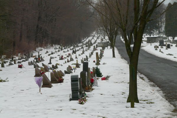 childrens section at calvary cemetery, Джонсон-Сити