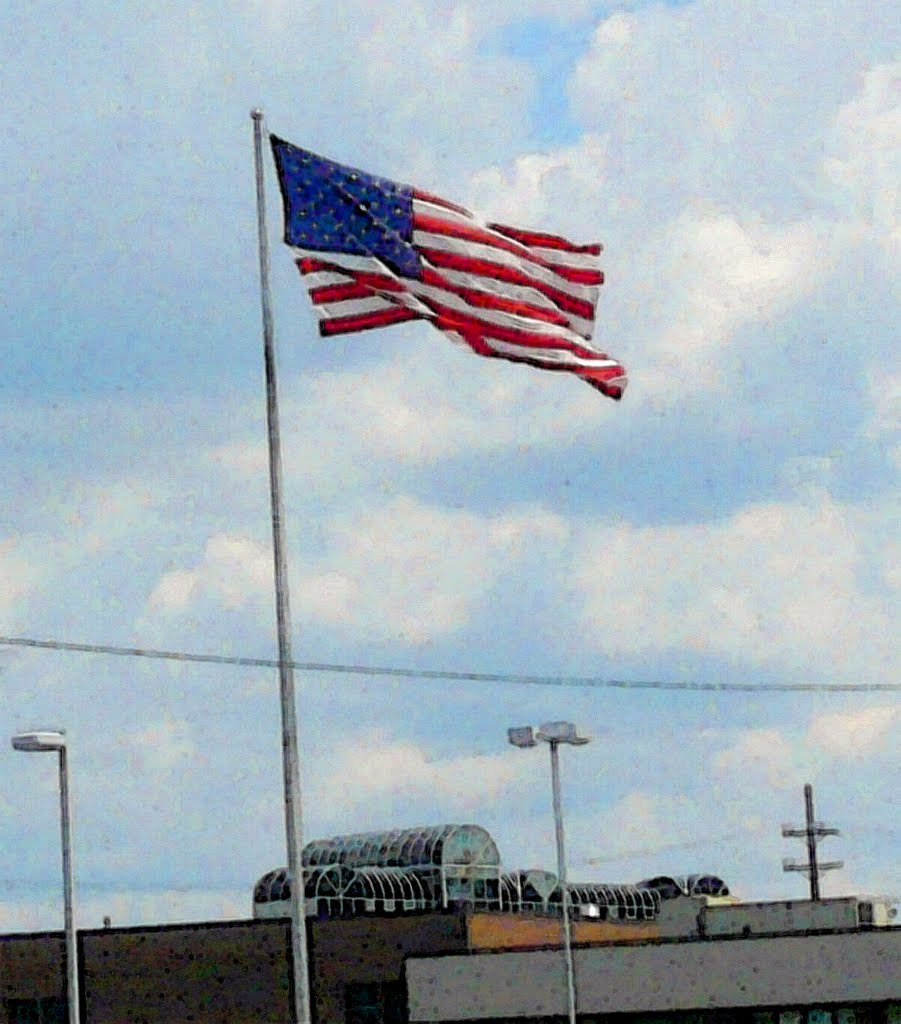 american flag on parkway, Джонсон-Сити