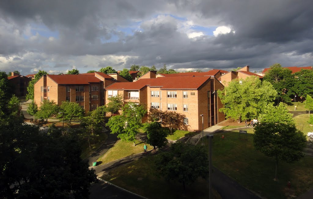 Ujamaa Residential College, Cornell University, Итака
