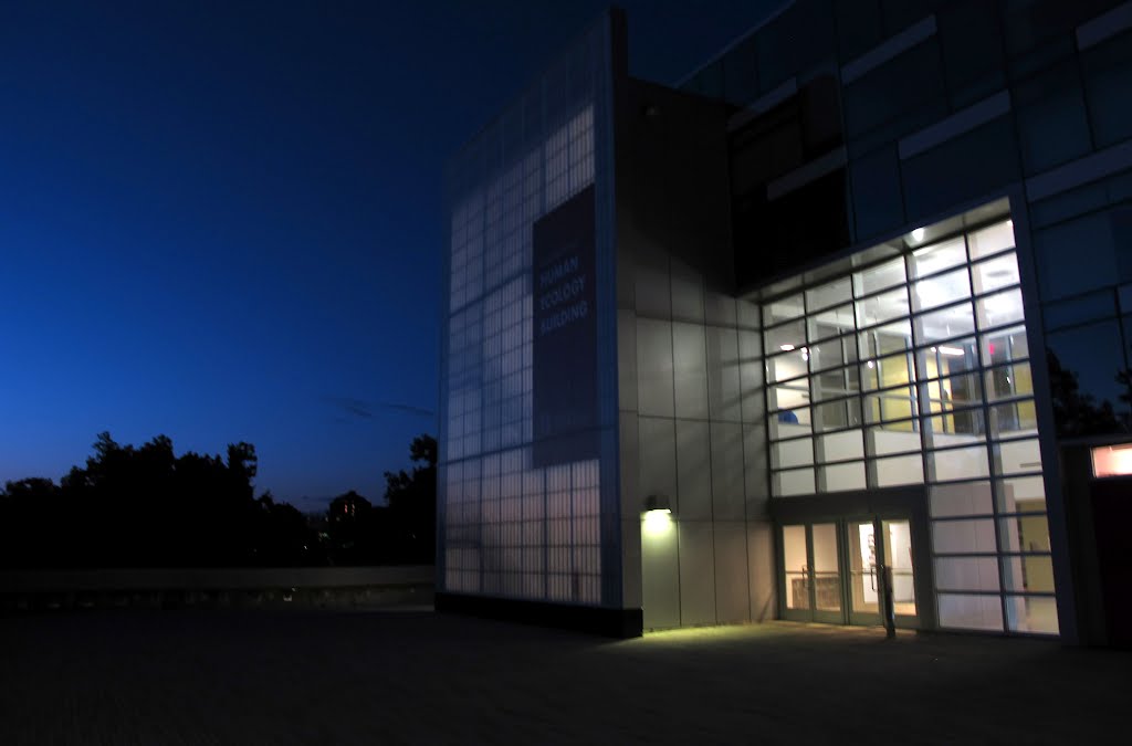 Night at Human Ecology Building, Итака