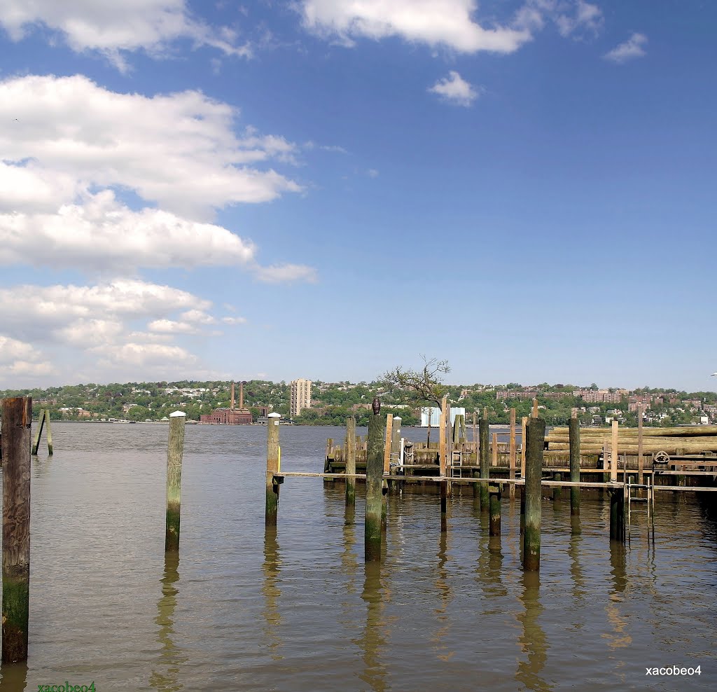 Ramifíquese! Visite los Árboles,del Hudson. Even if not we realize, the Hudson touches our lives every day., Йонкерс