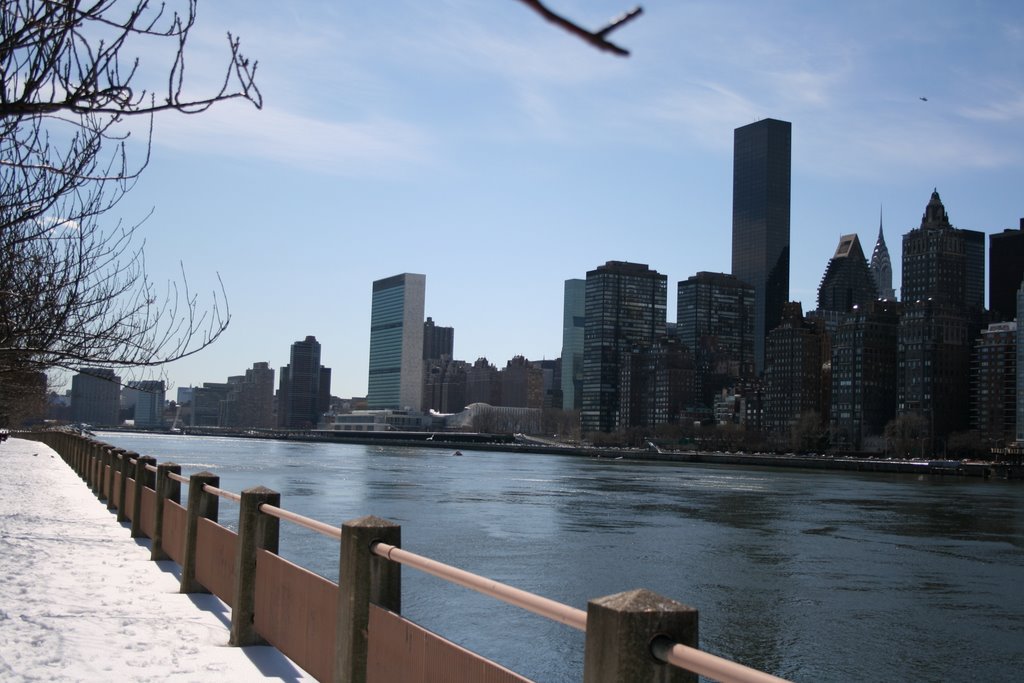 View from Roosevelt Island, Квинс