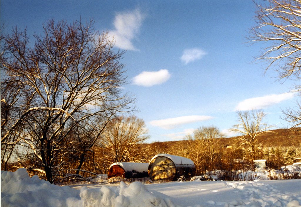 Winter landscape in Kingston, Кингстон