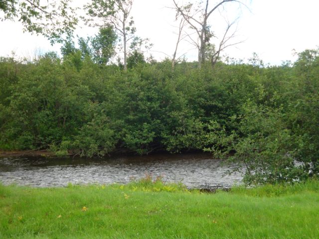 Saranac River in Riverview, NY, Клинтон