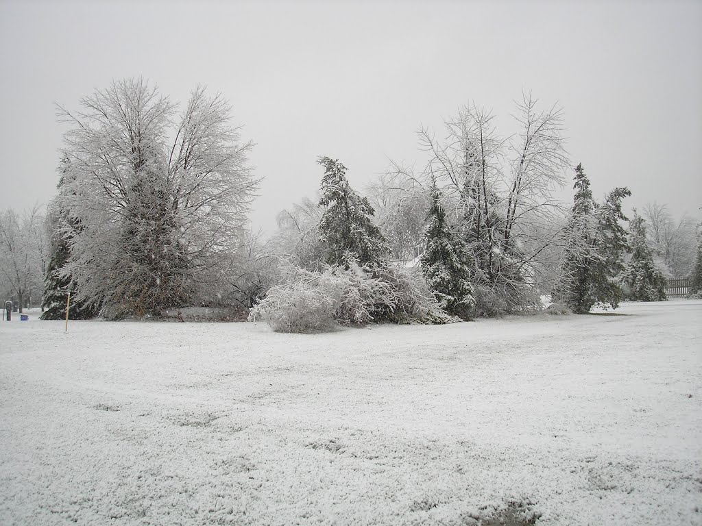 Snow Day  Colonie, NY, USA, Латам