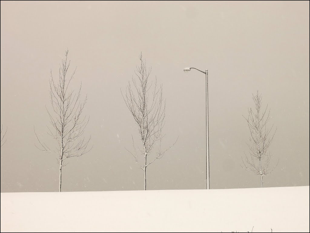 winter graphics, Лауренс
