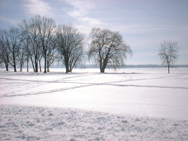 Onondaga Lake Park in Winter, Ливерпуль