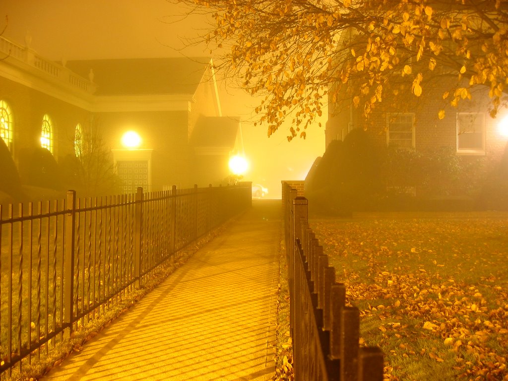 Fog, Линденхарст