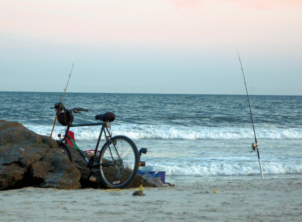 Bike to the Surf and Fish, Лонг-Бич