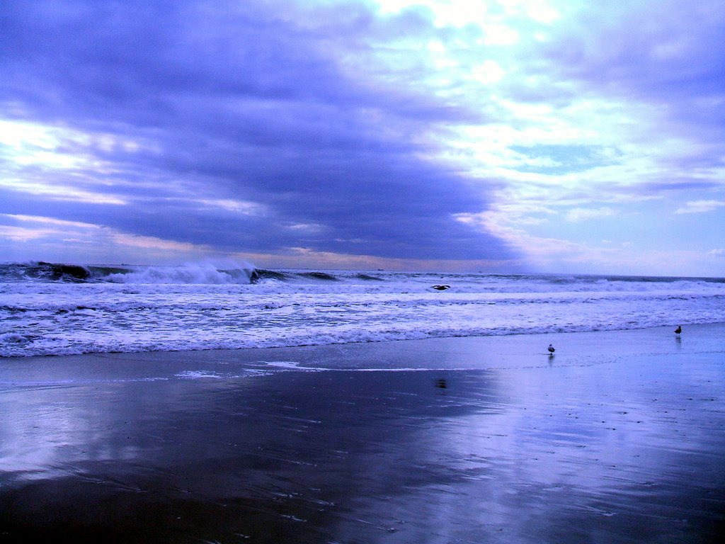 as a cold beach kiss by perfect waves, Лонг-Бич