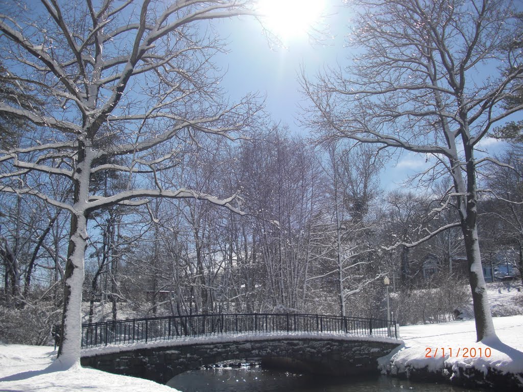 Manhasset valley park. winter, Манхассет