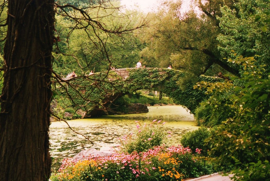The Pond Central Park, Манхаттан
