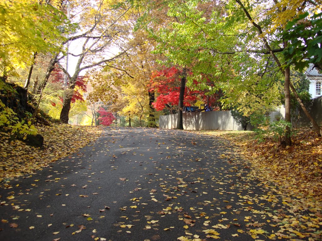 Fall in Mount Vernon, Маунт-Вернон