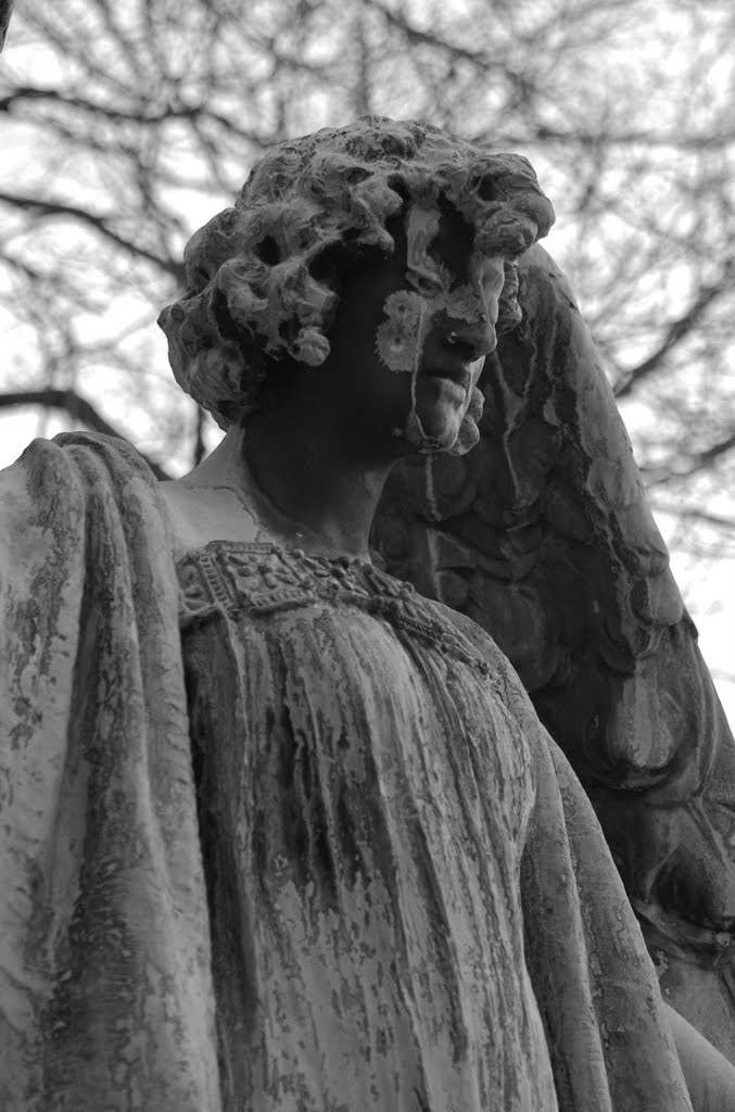 Mourning Statue, Albany Rural Cemetary, Менандс
