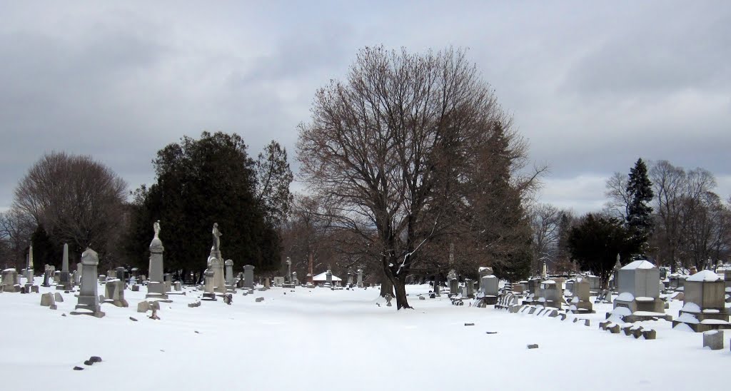 Albany Rural Cemetery, snow scene, Менандс