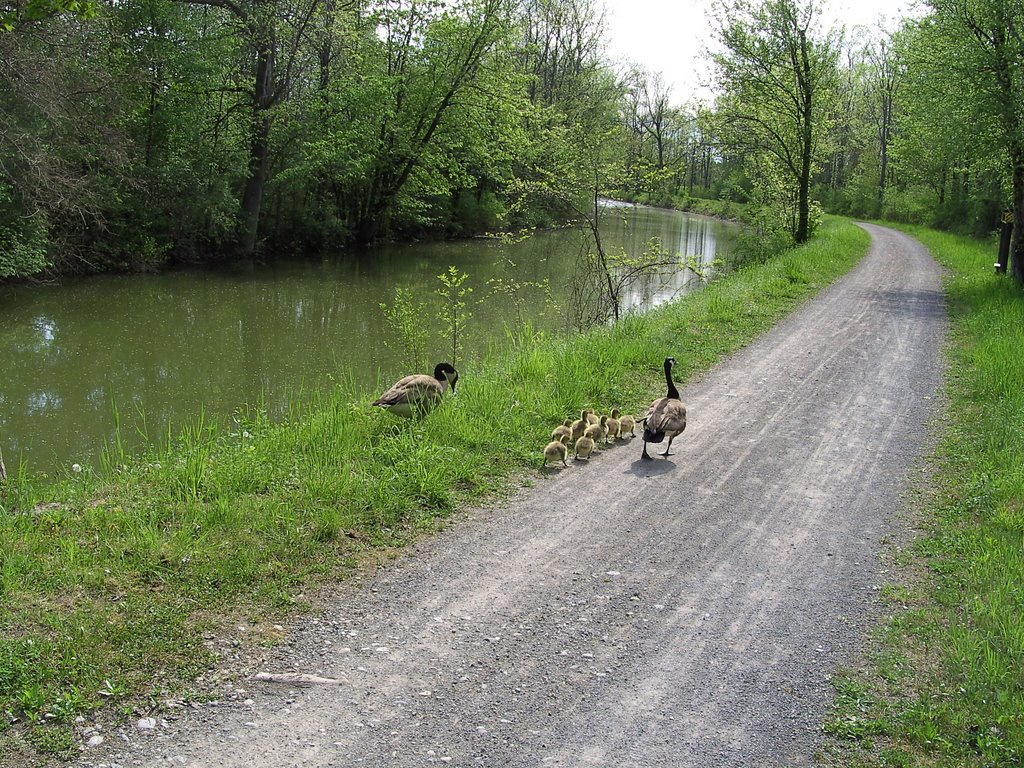 Old Erie Canal Trail - May 14, 2007, Миноа