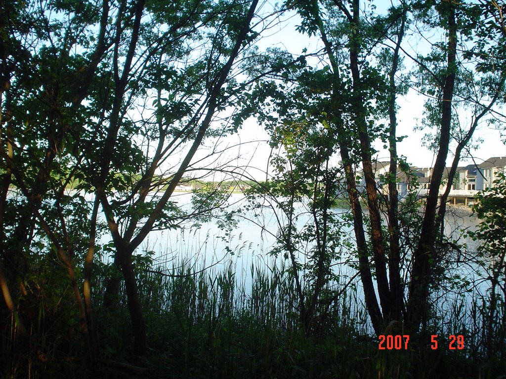 Erie Village Lake, Миноа