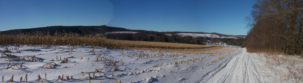 A Pause While XC Skiing on an Otsego County, NY, snowmobile trail, Моррис