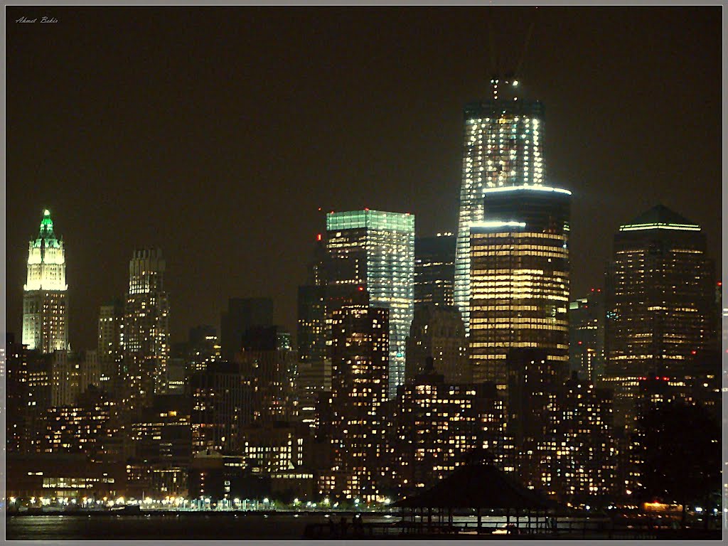 Manhattan - The Urban Jungle (* by Ahmet Bekir), Нью-Йорк