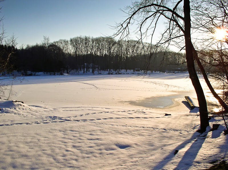 Green Lake in Winter, Орчард-Парк