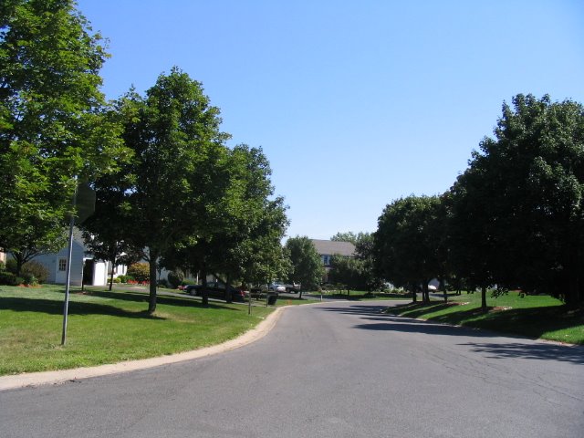 Clay neighborhood, Питчер-Хилл