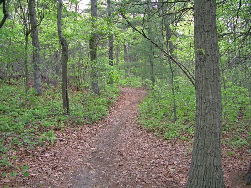 Nassau Suffolk Greenbelt Trail, Плайнвью