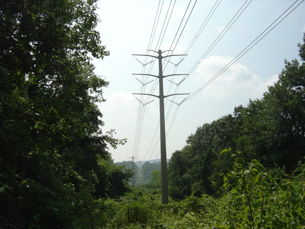 Power Lines over Long Path, Помона