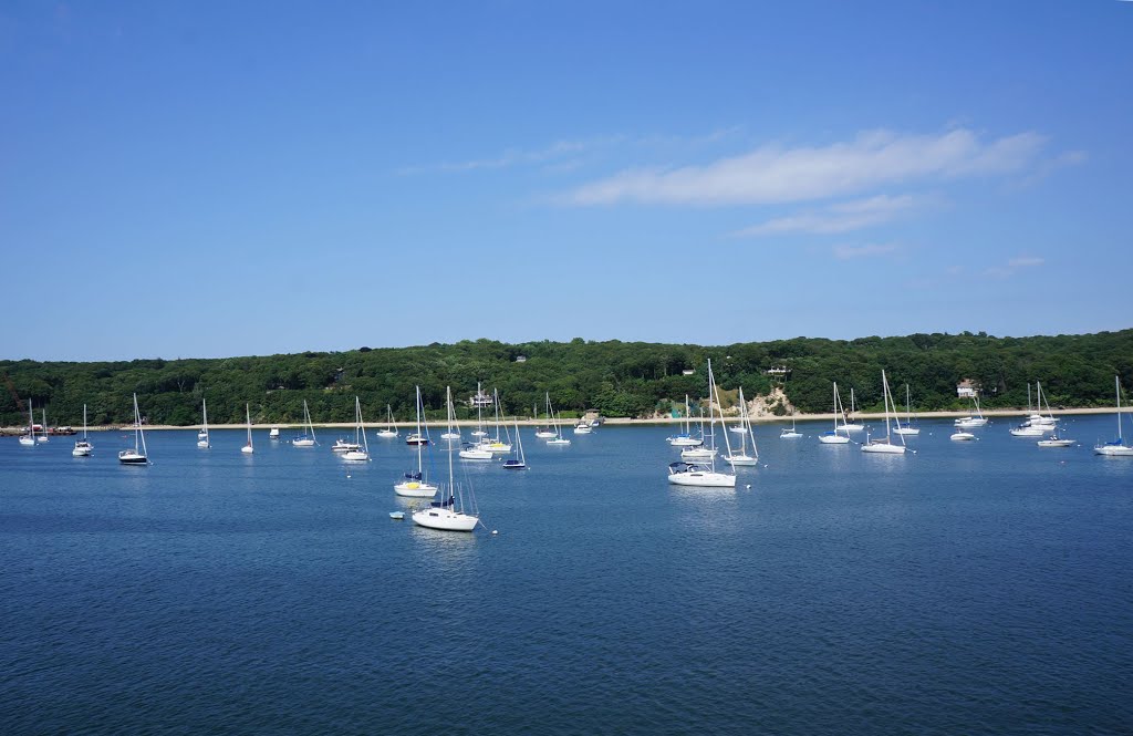 Harbour, Порт-Джефферсон