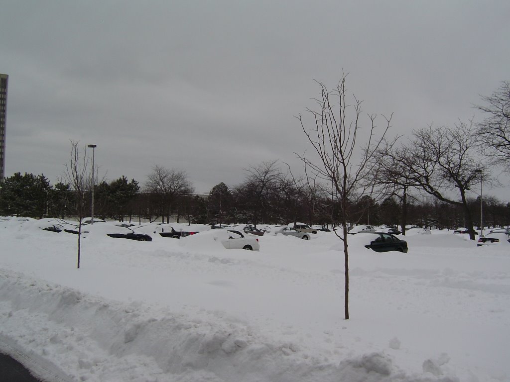 SUNY Parking Lot, Росслевилл