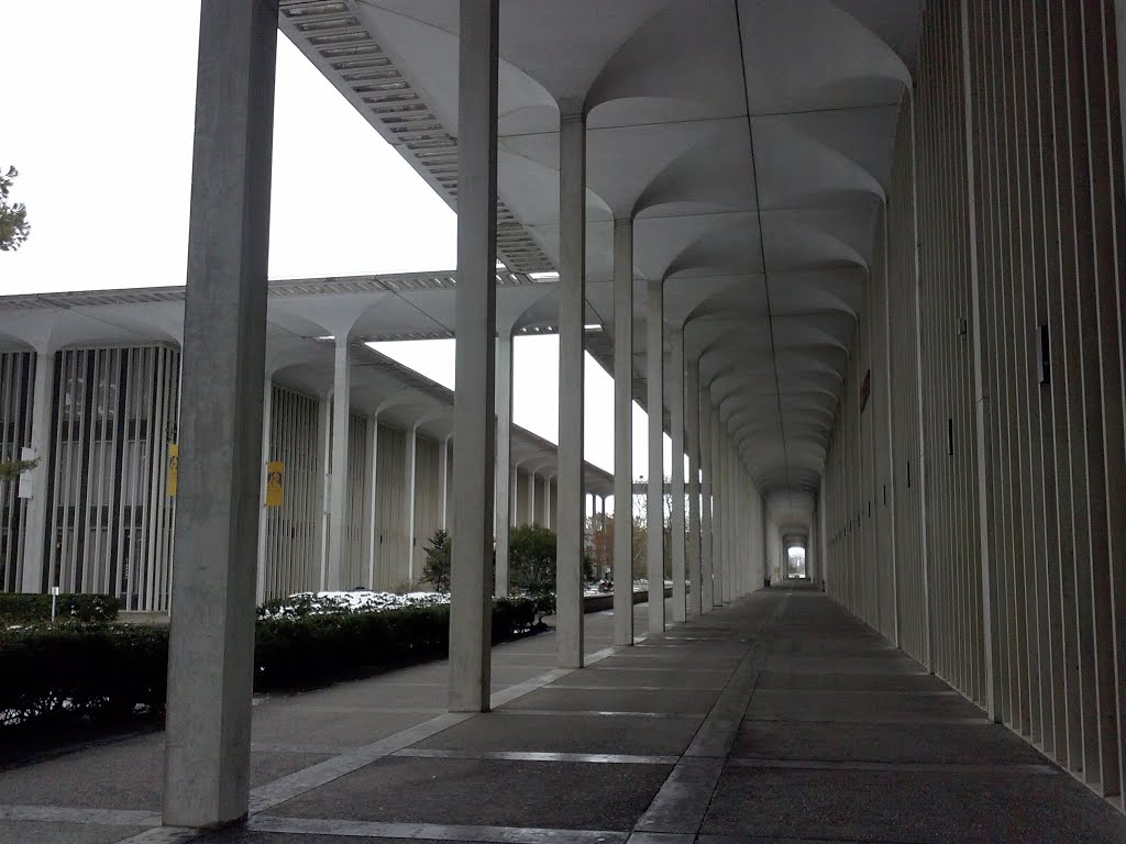Empty UAlbany campus, Росслевилл