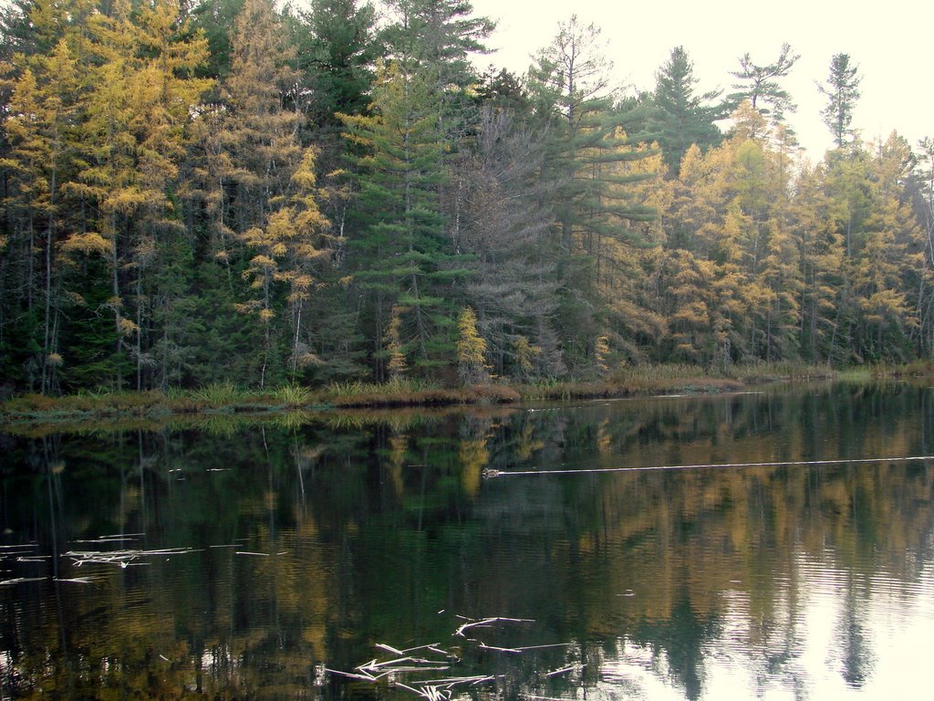 Turtle Pond, Saranac Lake, NY, Саранак-Лейк