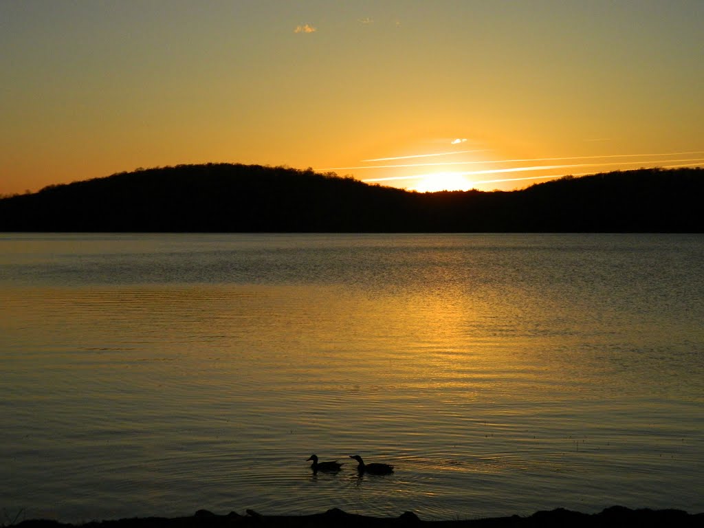 Mallards on Lake Colby, sunset, may 5, 2010, Саранак-Лейк
