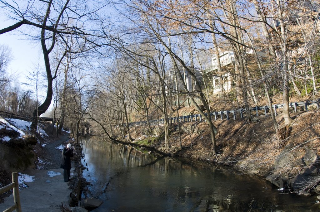 Bronx River at Scarsdale, Скарсдейл