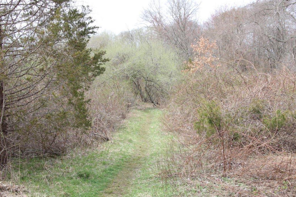 Greenbelt hiking trail, Смиттаун