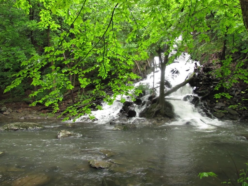 Tributary Falls on High Falls Creek (~100), Филмонт