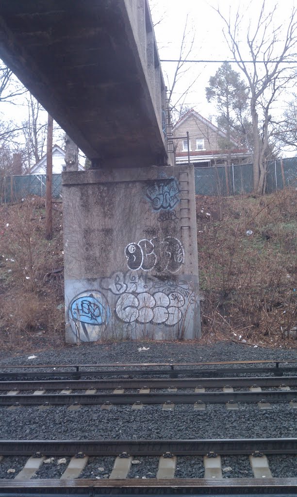 Train line grafitti, Флорал-Парк