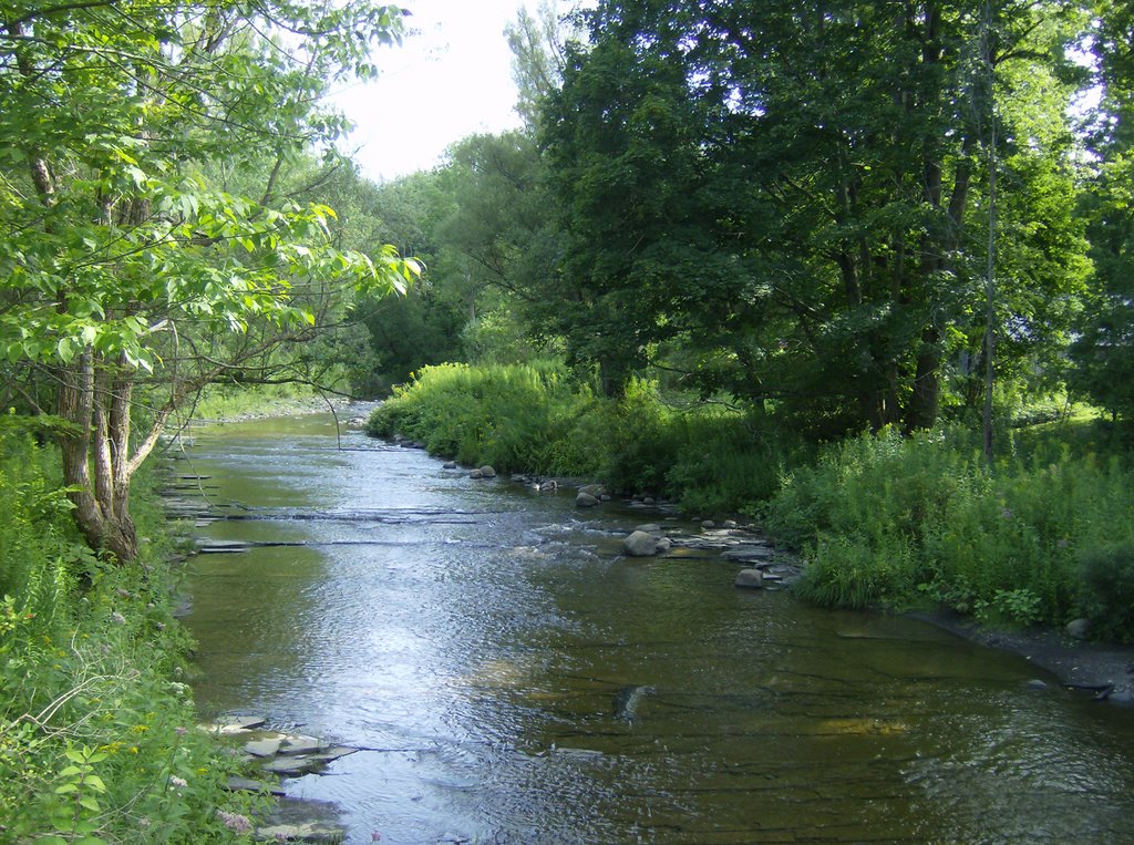 Nine Mile Creek in South Trenton NY, Холланд-Патент