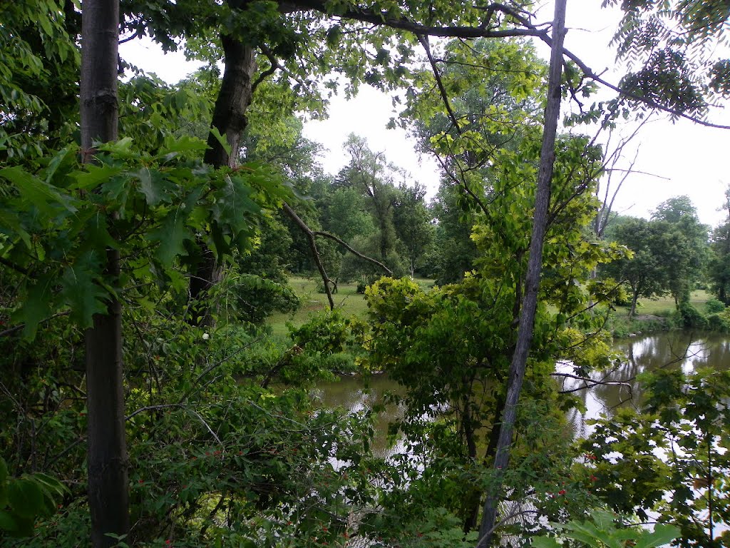 Cayuga Creek, Como Park, Элма-Сентер