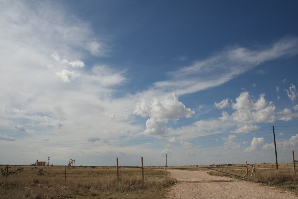 New Mexico Sky, Декстер