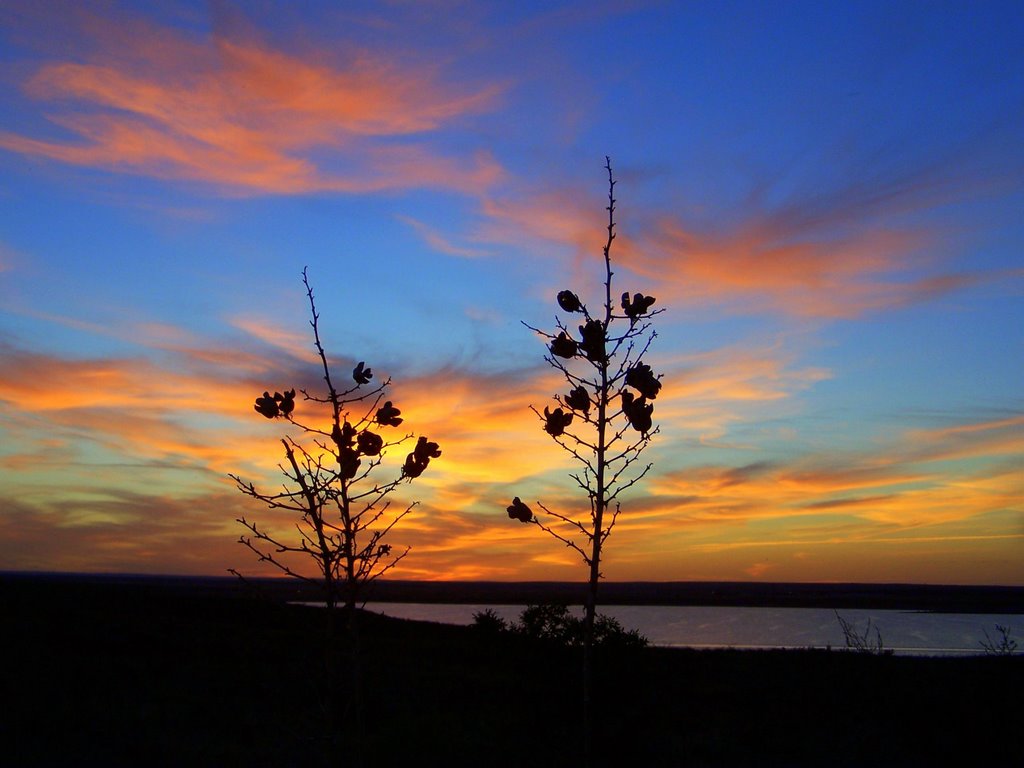 Sunset Brantley Lake S.P., Декстер