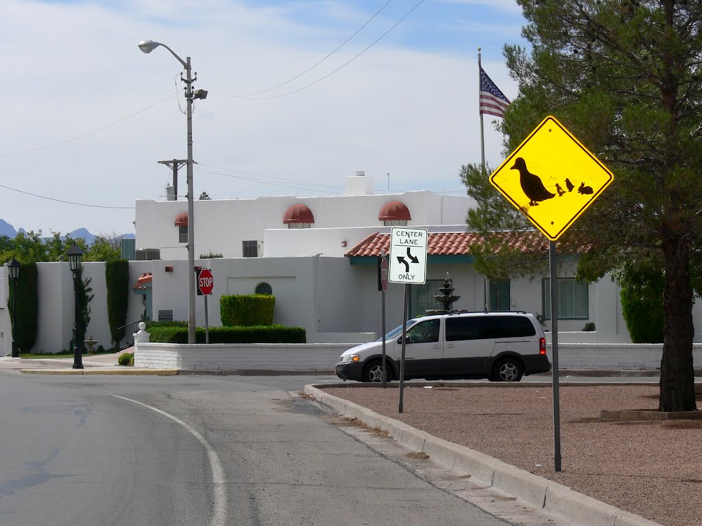 Duck and rabbit crossing, Deming, New Mexico, Деминг